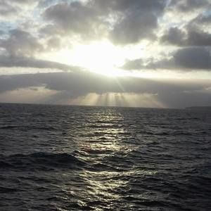 Meet your Posher, Jacorie